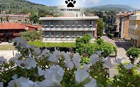Hotel Benaco Garda ***S